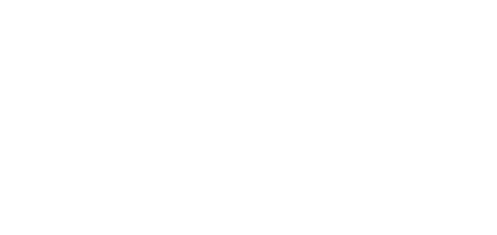 The Revival Project